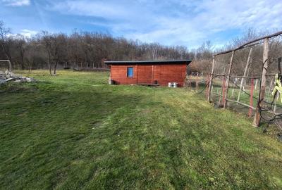 Proprietate deosebita de vanzare cu eficien?a energetica excep?ionala, natura pura - 7