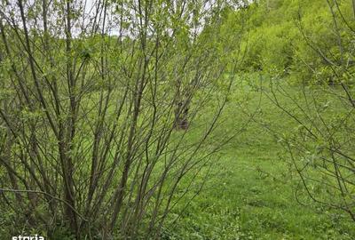 Spațiu comercial, în Ciupercenii Noi - 6