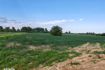 Teren de 9200 mp, în Clinceni - 1