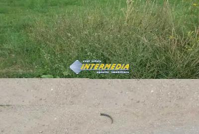 Teren Intravilan 600 mp. de vanzare Alba Micesti parcele diverse