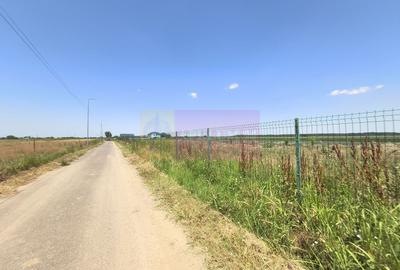 Teren Construcții intravilan de 582 mp, în Copăceni - 25