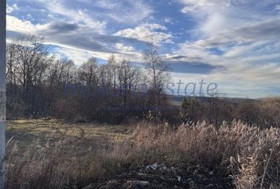 Teren autorizat Faget / Zona Vila Tusa / PUZ Aprobat - 3