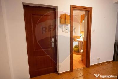 Apartament cu 2 camere decomandat în Nufărul - 9