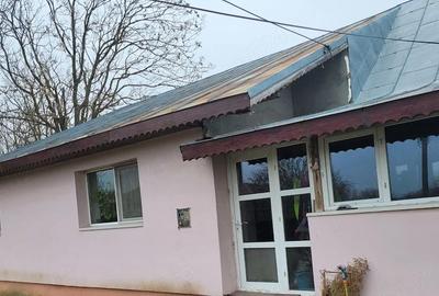 Casă cu 4 camere în Valea Bujorului - 9