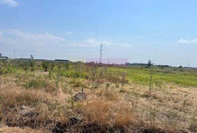 Teren Domnesti- Fortului. - 2