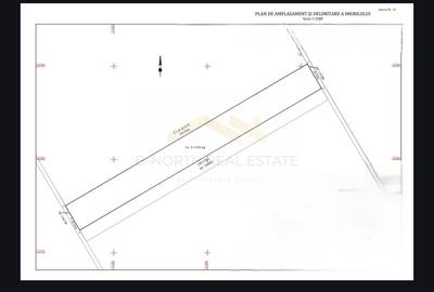 Teren în Domnești - 1