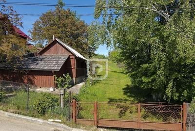 Casa batraneasca cu foi?or ?i teren - 7