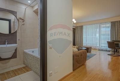 Apartament cu 2 camere semidecomandat, mobilat în Drumul Poienii - 13