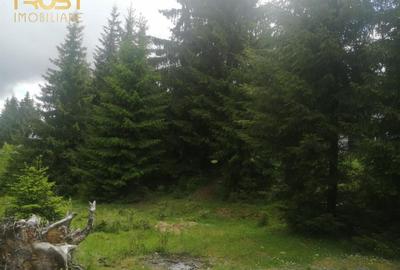 Teren de vanzare, Belis,1300mp, Strada principala, Intravilan - 5