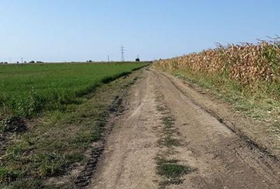 Teren de 15000 mp, în Agigea - 6