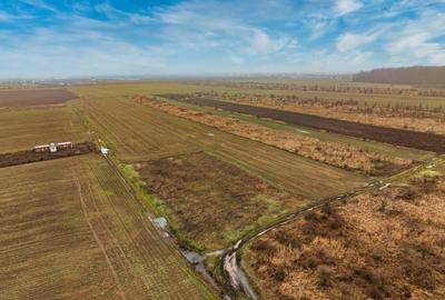 Teren Construcții intravilan de 5040 mp, în Săbăreni - 4