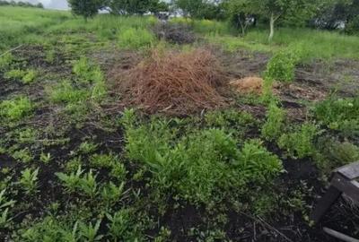 Casă cu 4 camere cu Teren 6000 Mp în Negostina - 1