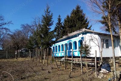 Casă cu Teren 2700 Mp în Iazu Nou - 5