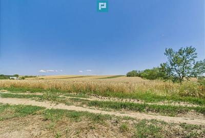 Teren intravilan + extravilan in Remetea Mica - 7