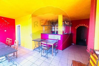 Casa P+E+M cu spalatorie auto si restaurant la DN 7 in LIPOVA - 16