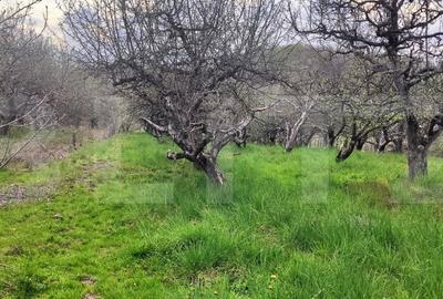 Spațiu comercial, în Gemenea-Brătulești - 1