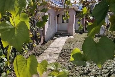 Casă cu 3 camere cu Teren 2123 Mp în Dărmănești - 7