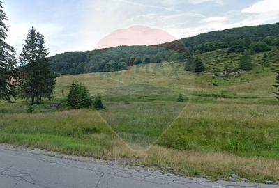 Teren intravilan de 6750 / 13500 mp in Poiana Brasov