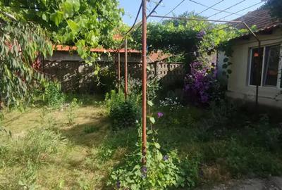 Casa spa?ioasa + 3000mp teren, foraj 120m, zona pitoreasca Balint, Timi? - 8