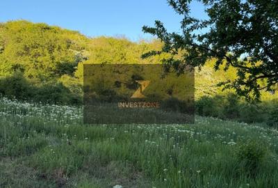 Teren de 2700 mp, în Oncea - 19