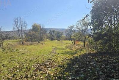 Casă cu 4 camere cu Teren 2500 Mp în Livezile - 2