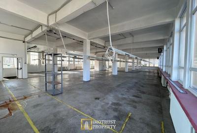 Hală Industrială de inchiriat - Lipova, Județul Arad - 17