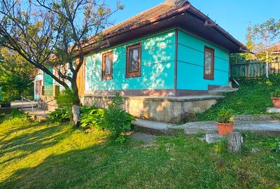 Casă individuală cu 2 camere cu Teren 983 Mp în Central - 1