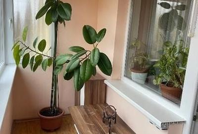 Elisabetin - Russu Sireanu | 3 Camere | Decomandat. - 6