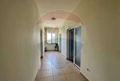 Oportunitate vie 54 ha la DN E85 - 2