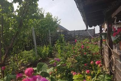 Casă cu Teren 700 Mp în Costi - 1