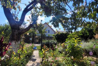 Casa rustica cu traditie -  P+M  - constructie BCA -teren 506mp -159.000 Euro - 6