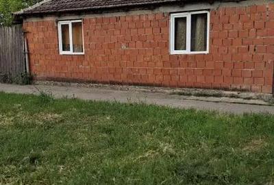 Casă cu 2 camere în Satchinez - 3
