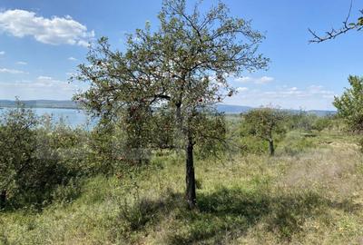 Teren extravilan in apropierea lacului Varsolt in suparfata - 2