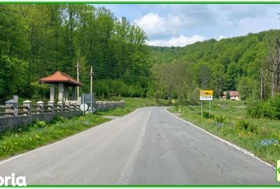 Teren de 394200 mp, în Măneciu - 2