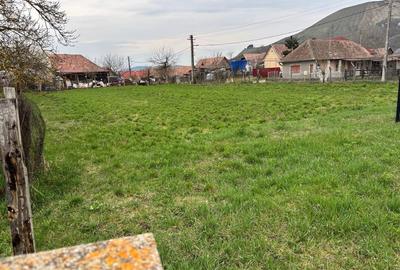 Spațiu comercial, în Central - 2