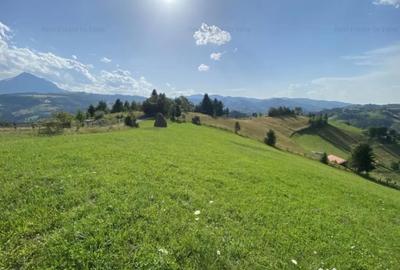 Teren de 3901 mp, în Central - 11