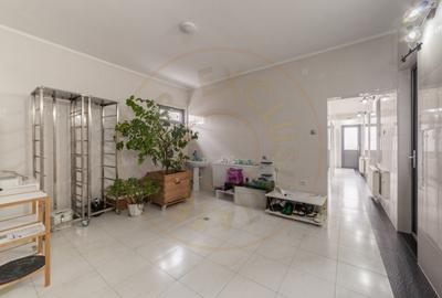 Spațiu comercial, de 320 mp, în Cireșu - 8