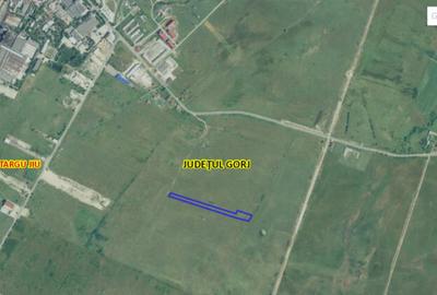 Teren de 7040 mp, în Preajba - 1