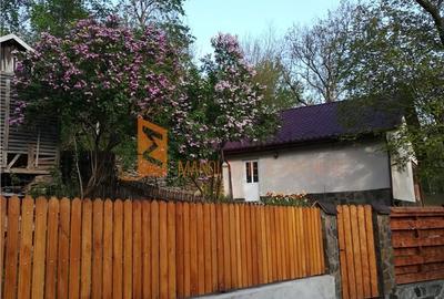 Casă cu 3 camere decomandat în Bălănești - 12