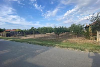 Teren în Moara Domnească - 3