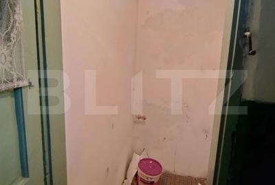 Apartament cu 2 camere semidecomandat în Brazda lui Novac - 3