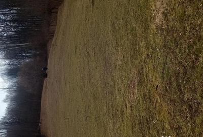 Teren de 2837 mp, în Provița de Jos - 1