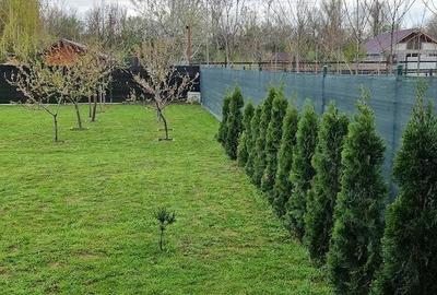 Casă cu Teren 540 Mp în Milcov - 6