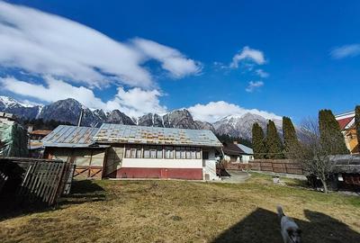 Casă cu 3 camere cu Canalizare în Poiana Țapului - 1