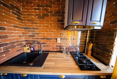 Persoana fizica apartament 2 camere Podu Ros Palas - 3