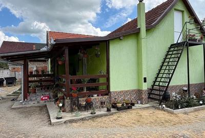 Casă cu 4 camere cu Teren 2200 Mp în Lugoj - 5