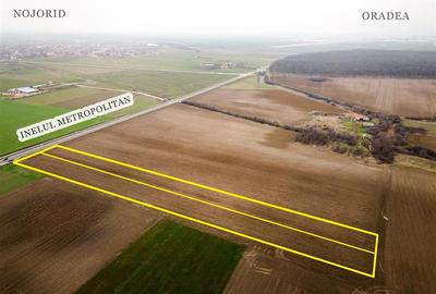 Teren intravilan de 11200 mp, în Nojorid - 4