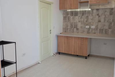 Apartament cu 2 camere decomandat în Ciurea - 2