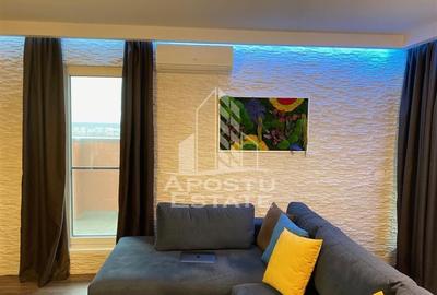 Apartament cu 2 camere si terasa, loc de parcare subteran, Aradului - 12