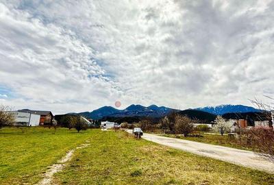 Teren Intravilan Zona Rezidentiala - 10